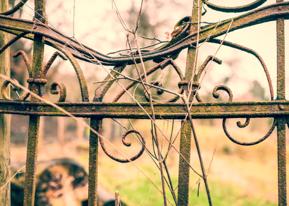 Steel Gate