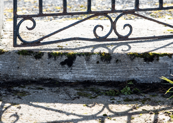 Old gate that needs repair